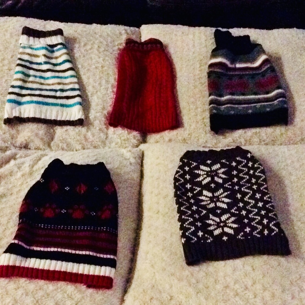 5 small dog sweaters